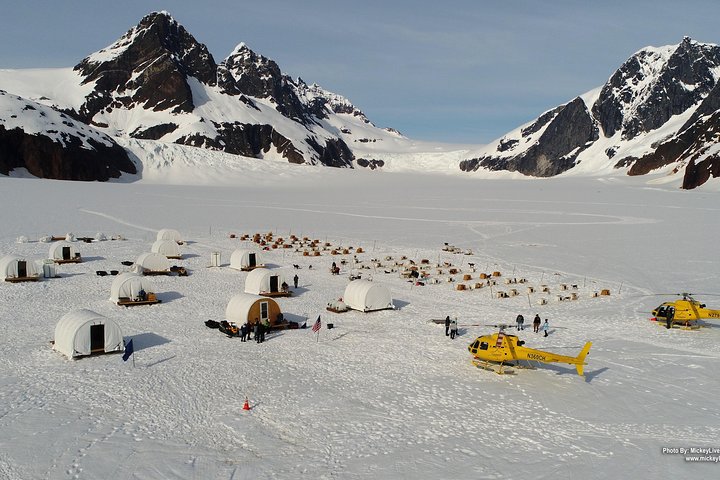 Juneau Shore Excursions: experiencia en trineo de perros en helicóptero y aterrizaje adicional en el glaciar
