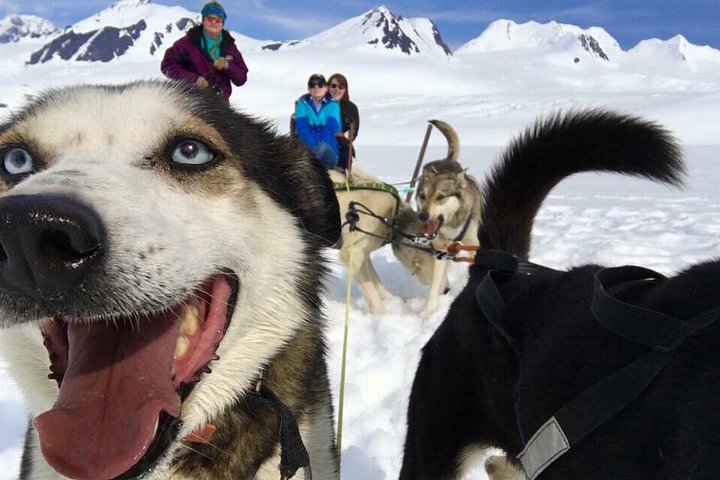 Tour in elicottero dell&#8217;Alaska e slitta trainata da cani sul ghiacciaio &#8211; AREA DI ANCORAGGIO