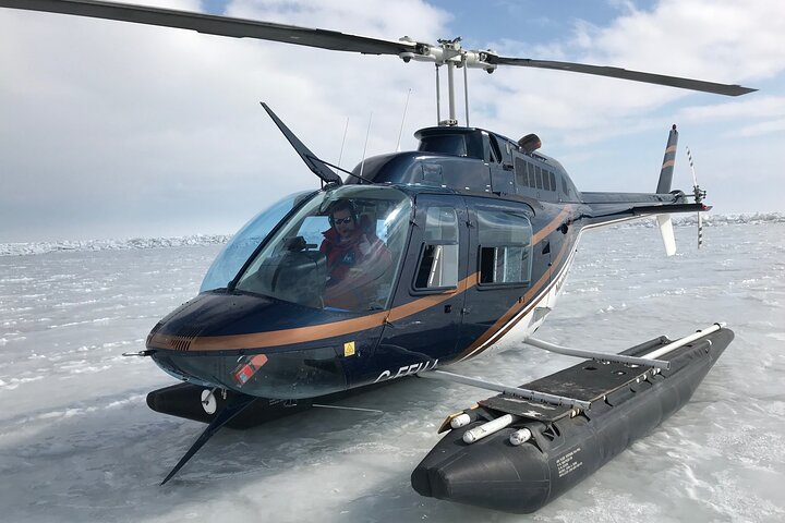 Visite privée: vol en hélicoptère en lune de miel à Niagara Falls