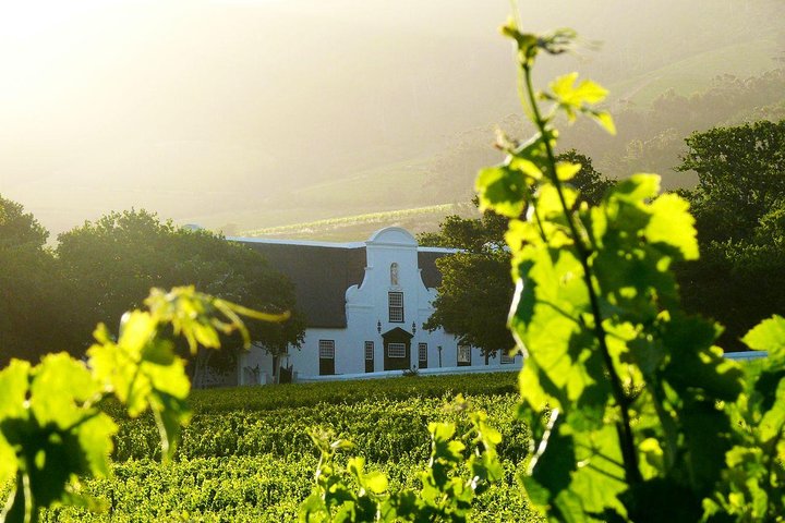 Cape Winelands Meal and Wine Private Helicopter Tour from Cape Town