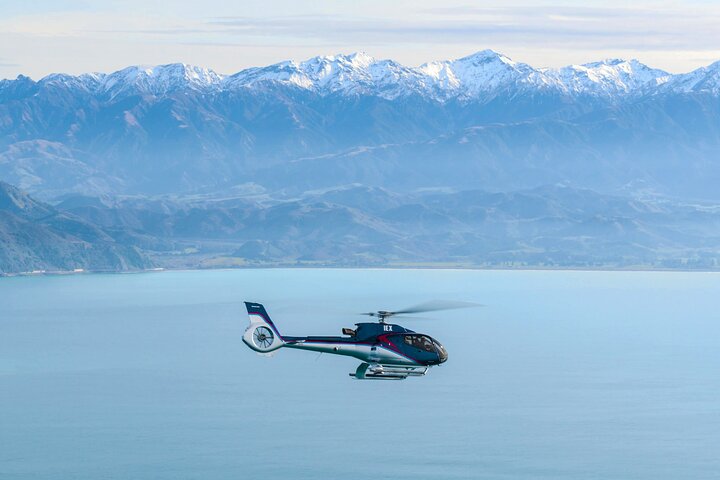 Vol d&rsquo;observation des baleines Top n Tail de Kaikoura Helicopters