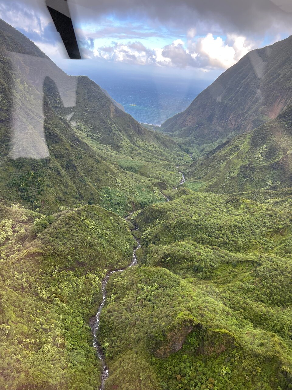 Tour en hélicoptère à Maui Molokai